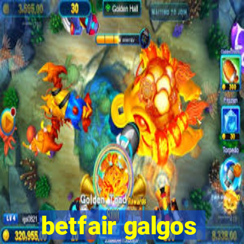 betfair galgos